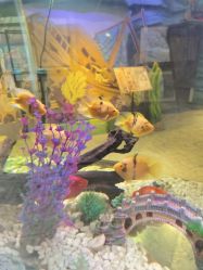 -酷嗒动物文化乐园(cutezoo西溪乐天城店)