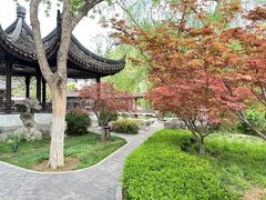 -君庭中餐厅(友谊宾馆店)