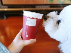 -桂桂茶(万嘉广场店)