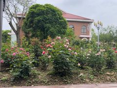 -橘洲1910花园江景西餐厅