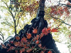 -虞山风景区