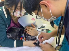 -美联众合动物医院·24h转诊中心