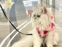 -KK ONE(京基滨河时代店)