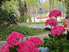 -南宁南湖公园
