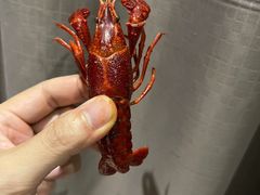 -靓靓蒸虾·头牌蒸虾(雪松路总店)