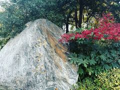 -新荣记(西溪湿地店)