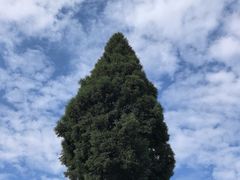 -綦江古剑山