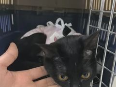 -达爱动物医院·犬猫分区·CT·复杂眼科(远洋山水分院)