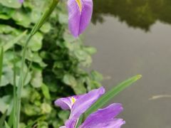 -陈李济中药博物馆