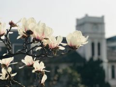 -锡师附小学(学前街校区)