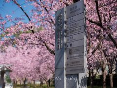-静安雕塑公园