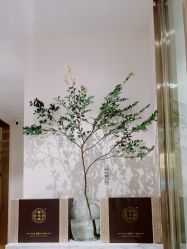 -蓝调造型·烫发·染发