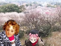 -香雪海