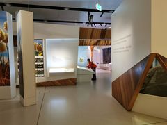 -墨尔本博物馆(Melbourne Museum)