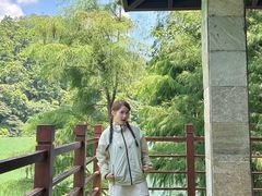 -广州市石门国家森林公园