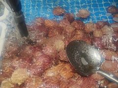 -和源祥·日照菜扛把子(万平口一店)