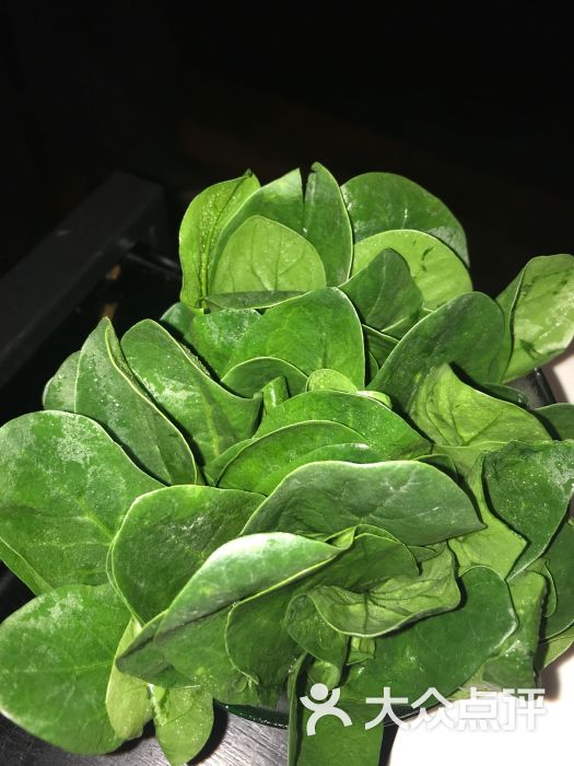 lets泰精致锅品美食(凤凰文化广场店)--菜图片-南通美食-大众点评网
