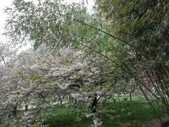 -莲花池公园