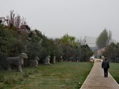 -明秦王墓遗址