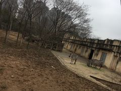 -南昌动物园