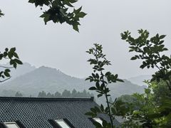 -马灯部落·西湖边的创意山景餐厅(虎跑动物园店)