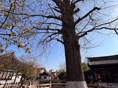 -常熟方塔园