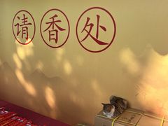 -龙华素斋(龙华路店)