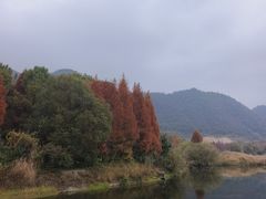 -贵阳市花溪国家城市湿地公园