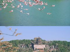 -颐和园