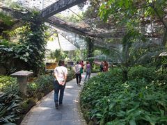 -快乐小羊·内蒙牛羊肉火锅(流花中心店)