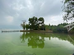 -呈贡滇池生态湿地公园