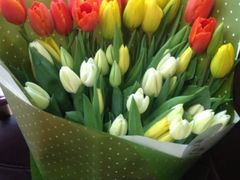 -花到家(富贵鸟花艺行)