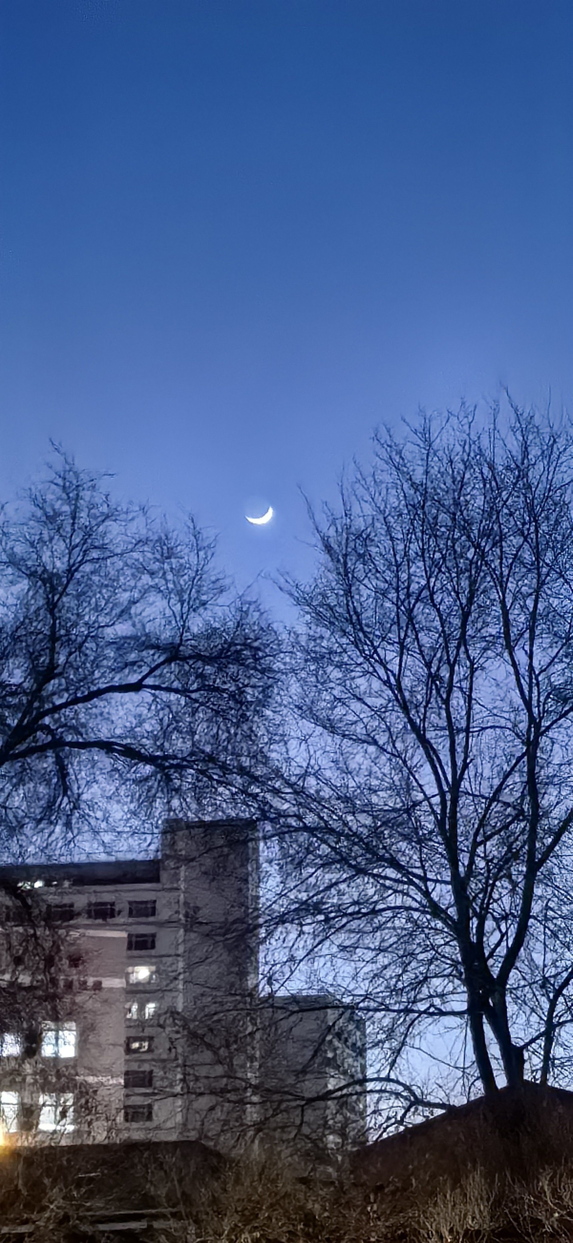 弯弯的月亮真好看