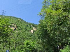 -大岭沟猕猴桃谷风景区