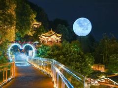 -巴倒烫陆派火锅山庄(南山总店)