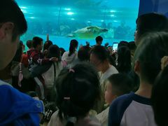 -苏州海洋馆