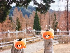 -神户市立六甲山牧场