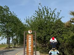 -盐城丹顶鹤湿地生态旅游区