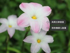 -上海滨江森林公园