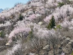 -白水寺森林公园