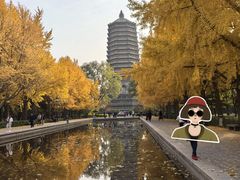 -玲珑塔公园