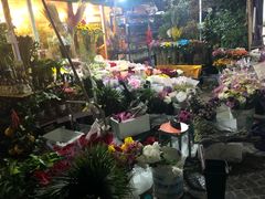 -曲阳花鸟市场(曲阳路店)