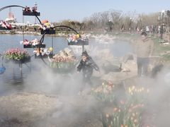 -荷兰花海