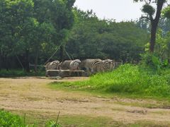 -宁波野生动物园
