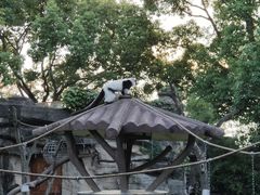 -上海野生动物园