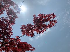 -南京市无想山景区