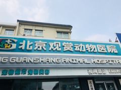 -北京观赏动物医院·24小时大型综合·猫专科·异宠专科