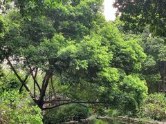 -成都市活水公园