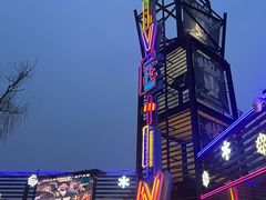 -枫花园汽车电影院(朝阳公园店)