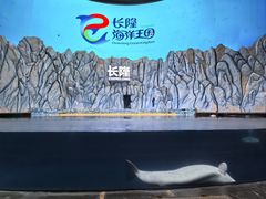 -珠海长隆海洋王国